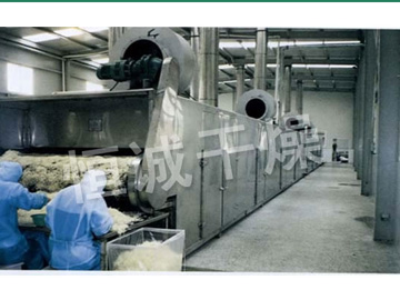 DWC係列脫水蔬菜帶式幹燥機