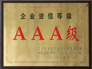 3A級企業-2006年度