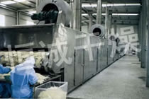 蔬果脫水製幹片、粉品、脆片技術